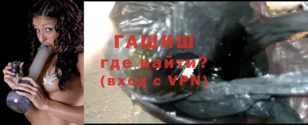 сатива Новокубанск