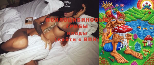 мет Няндома