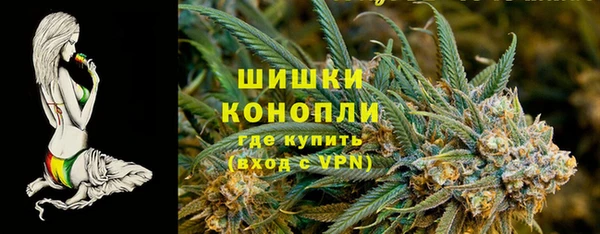 мет Няндома