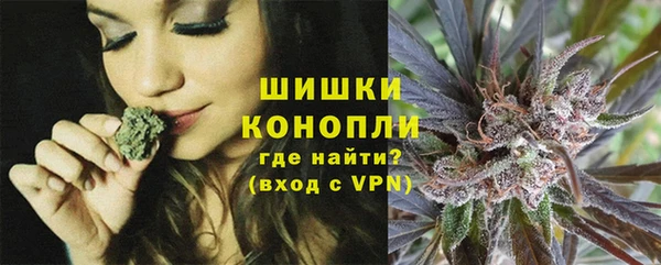 сатива Нязепетровск
