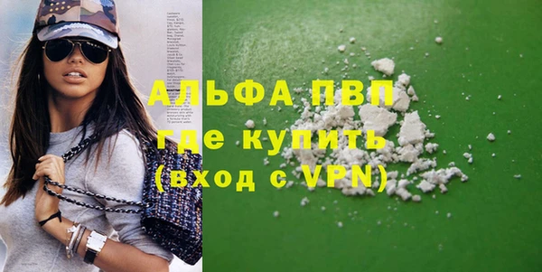 крисы Новодвинск