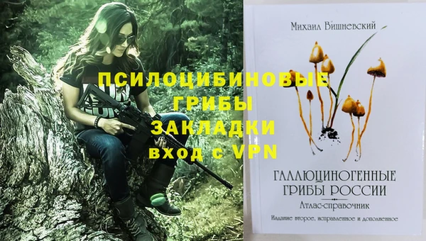 сатива Нязепетровск