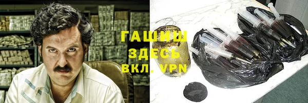 сатива Новокубанск