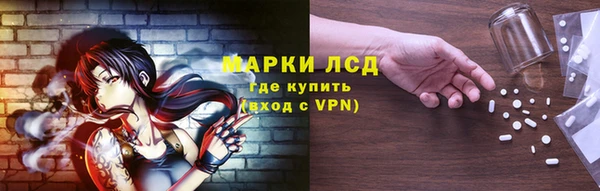 сатива Нязепетровск